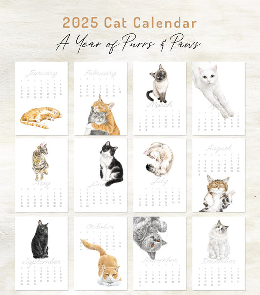 2027 Desk Calendar: Cat Watercolor Art