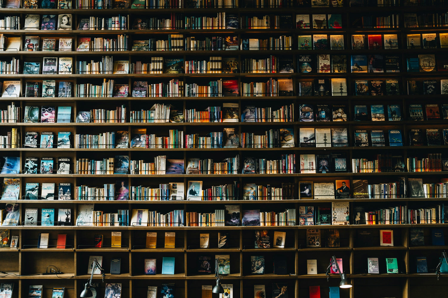 Mindful Reads