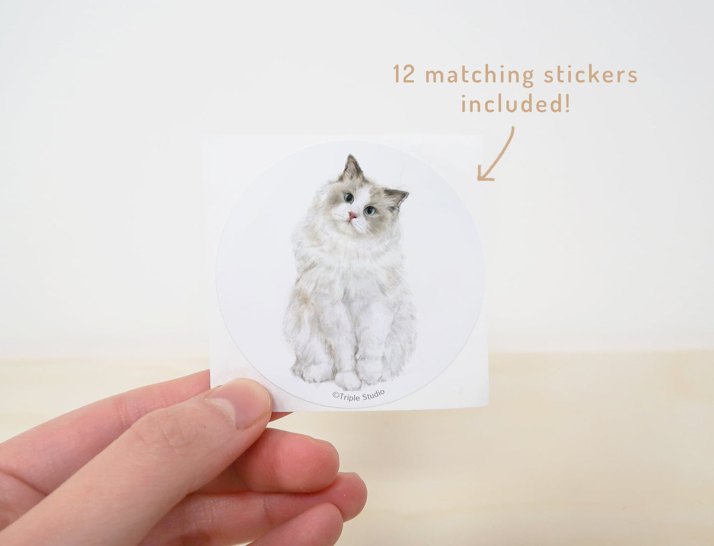 2027 Desk Calendar: Cat Watercolor Art