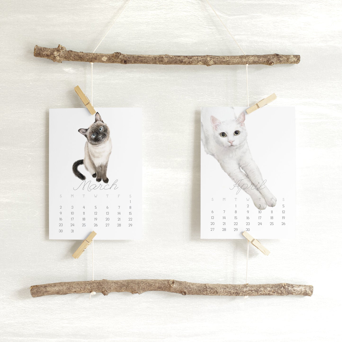 2027 Desk Calendar: Cat Watercolor Art