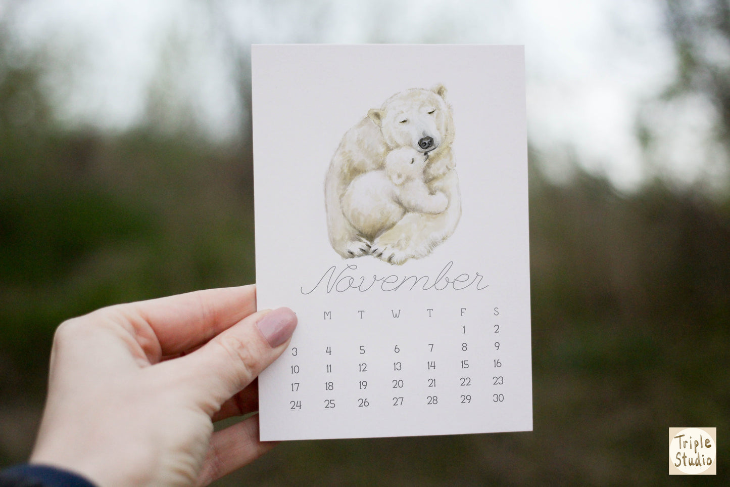 2027 Desk Calendar: Ocean Animal